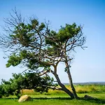 Hotel Ruegenschmiede Vis A Vis Hiddensee