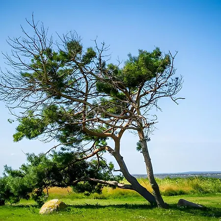 מלון Ruegenschmiede Vis A Vis Hiddensee