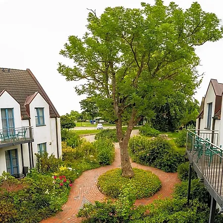 Ruegenschmiede Vis A Vis Hiddensee