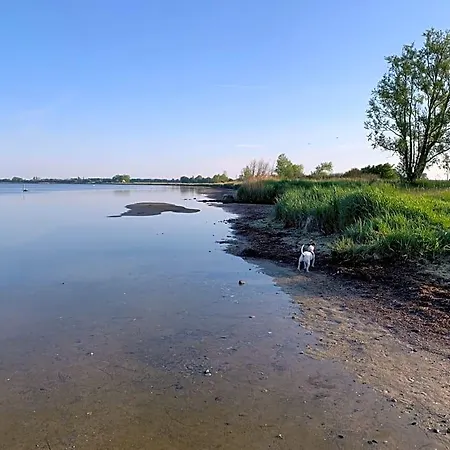 Szálloda Ruegenschmiede Vis A Vis Hiddensee 3*
