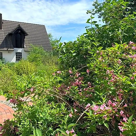 Szálloda Ruegenschmiede Vis A Vis Hiddensee Schaprode