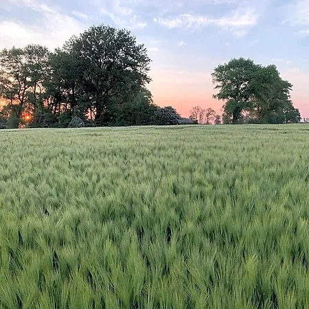 Ruegenschmiede Vis A Vis Hiddensee Szálloda Schaprode