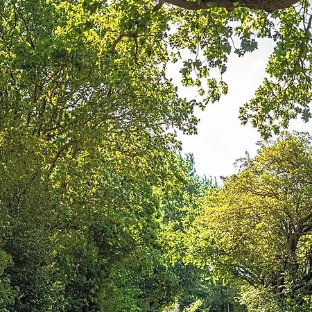 Ruegenschmiede Vis A Vis Hiddensee Szálloda 3*