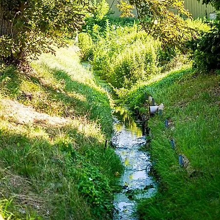 Ruegenschmiede Vis A Vis Hiddensee