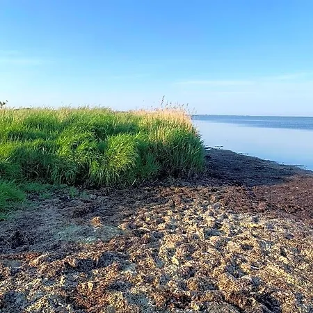 Ruegenschmiede Vis A Vis Hiddensee Szálloda 3*